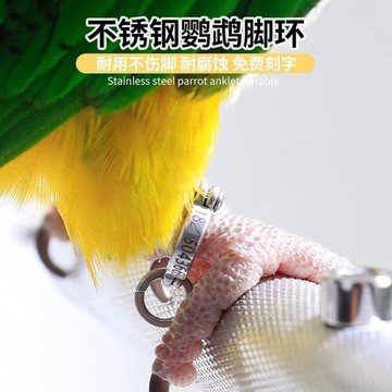百貨研究所⚡️鳥腳環不鏽鋼鸚鵡腳環刻字腳環鸚鵡腳鏈不傷腳活釦超輕鸚鵡放飛繩🎉