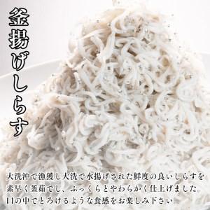 ふるさと納税 定期便 釜揚げしらす (1kg×8か月) 天然 釜揚げ ふっくら しらす シラス 魚 さかな 魚介 離乳食 茨城県大洗町