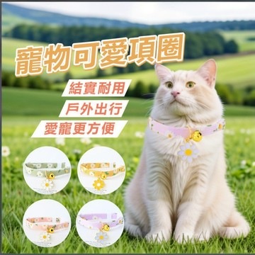 🌈愛寵✨卡通項圈 可愛項圈 寵物項圈 花朵項圈 小貓咪狗鈴鐺 安全扣項鏈可愛飾品 花朵清新