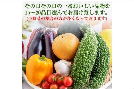 紀州の野菜・果物セット定期便（15～20品目）年6回