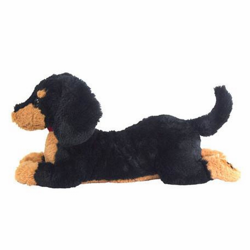 ダックス　ブラックM ひざわんこ ミニチュアダックス ブラック ダックスフント 犬