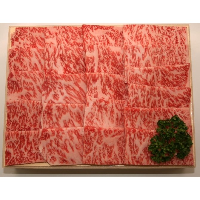 宮崎牛サーロイン焼肉用500g(250g×2)