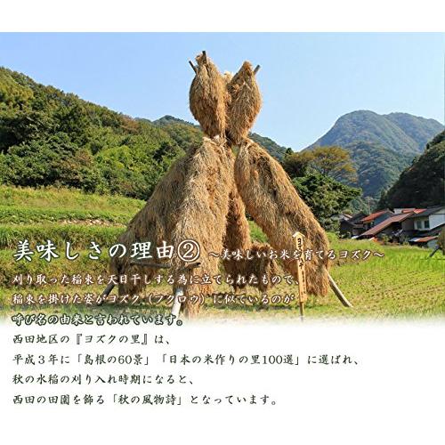 島根県 石見銀山 つや姫 (白米, 2kg)