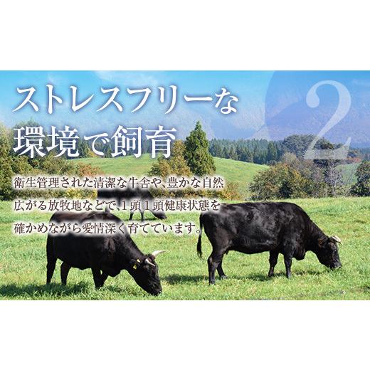 ふるさと納税 鹿児島県 鹿児島市 鹿児島県産黒毛和牛切落し900g　K208-019