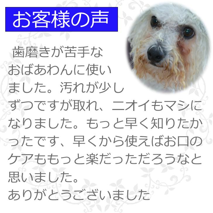 犬 歯石除去 マジックゼオ プロ 360度歯ブラシ イエロー 小型犬用 シグワン 犬 猫 歯磨き  口臭予防 玩具 歯石取り 器具 歯周病菌 人気 無添加