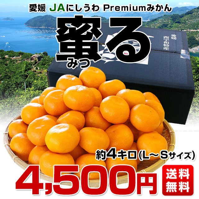 愛媛県より産地直送 JAにしうわ みつる共撰 プレミアム西宇和みかん 蜜る(みつる) LからSサイズ 4キロ(35玉から50玉) 送料無料 にしうわみかん 蜜柑 ミカン