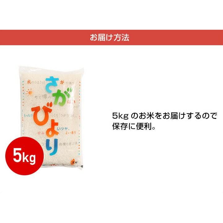 新米　お米 5kg 送料無料 さがびより 佐賀県産　令和5年度 5kg