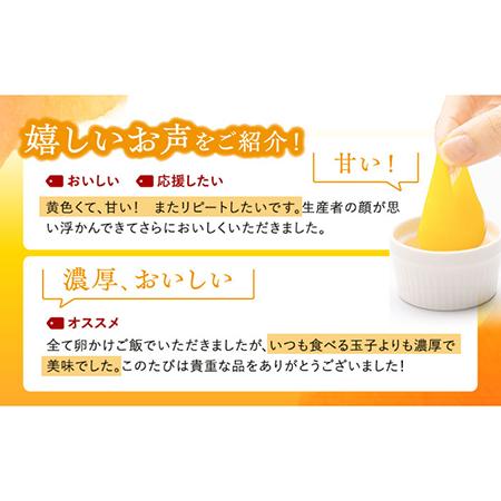 ふるさと納税  アルギニン 元気たまご 20個 自然栽培 平飼い 卵 20個 たまご 鶏卵 玉子 国産 卵かけご飯 たま.. 長崎県波佐見町