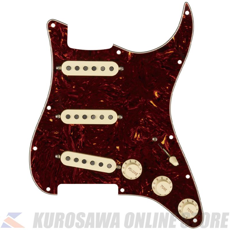 Fender Pre-Wired Strat Pickguard, Tex-Mex SSS, Tortoise Shell Hole PG