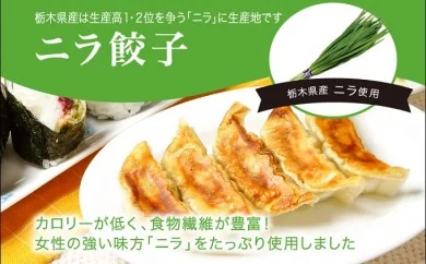 「宇都宮餃子館」ニラ餃子 960ｇ（４８個）≪ギョーザ 冷凍餃子 冷凍食品 グルメ 食品 惣菜 中華惣菜 点心 中華≫