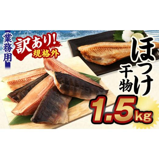 ふるさと納税 茨城県 神栖市 業務用 ほっけ干物 1.5kg 干物 ホッケ 縞ほっけ ほっけ