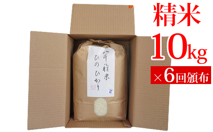 兵庫県福崎町産 ひのひかり 八千種米10kg×６回 精米 ６ヶ月連続お届け 兵庫県認証食品（うるち米）兵庫推奨ブランド