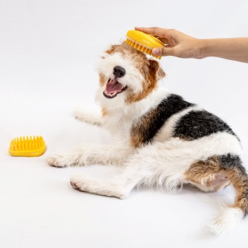 CT-30 奧本寵物乾溼按摩清毛梳（按摩/洗澡/除廢毛)