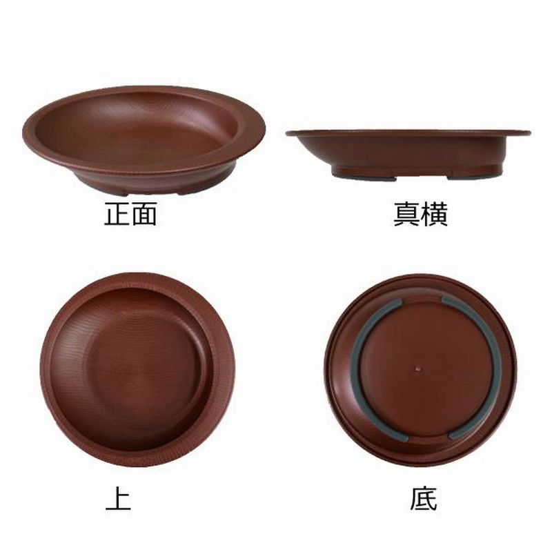 SEAL限定商品 介護 食器 皿 レンジ対応 食洗機可 使っていいね すくいやすい小鉢 リッチェル 介護用品