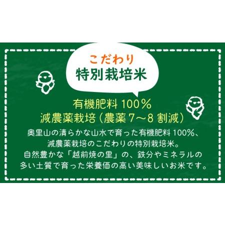 ふるさと納税 米 定期便 ≪12ヶ月連続お届け≫ 特別栽培米 コシヒカリ 10kg × 12回 令和5年産 新米 福井県産.. 福井県越前町