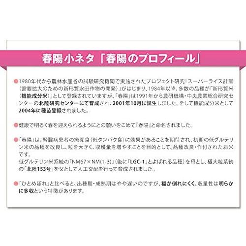 富山県産「低たんぱく米」「低グルテリン米」春陽（令和4年産）5kg