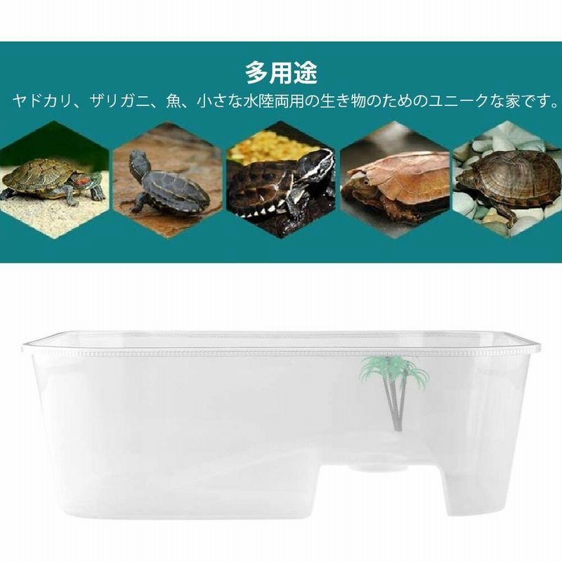 カメ 水槽 爬虫類 両生類用ケース 亀箱 水槽 タートルタンク カメ生息地 爬虫類飼育箱 プラスチック製 日光浴 5エリア仕切り 小型 透明 通販 Lineポイント最大0 5 Get Lineショッピング