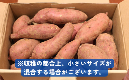 さつまいも シルクスイート 5kg 野菜 芋 サツマイモ 焼き芋 出荷：2023年11月10日? 野菜さつまいも 甘いさつまいも 焼き芋さつまいも 旬さつまいも ホクホクさつまいも