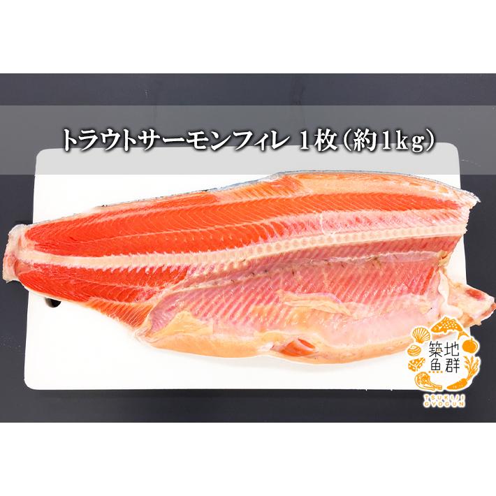 トラウトサーモンフィレ 1枚（約1kg） 冷蔵便