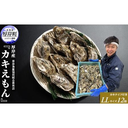 ふるさと納税 厚岸産 ブランドかき カキえもん LLサイズ 12個  牡蠣 北海道厚岸町