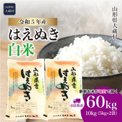 ふるさと納税 大蔵村 令和5年産 はえぬき60kg定期便(10kg×6回)　山形県大蔵村