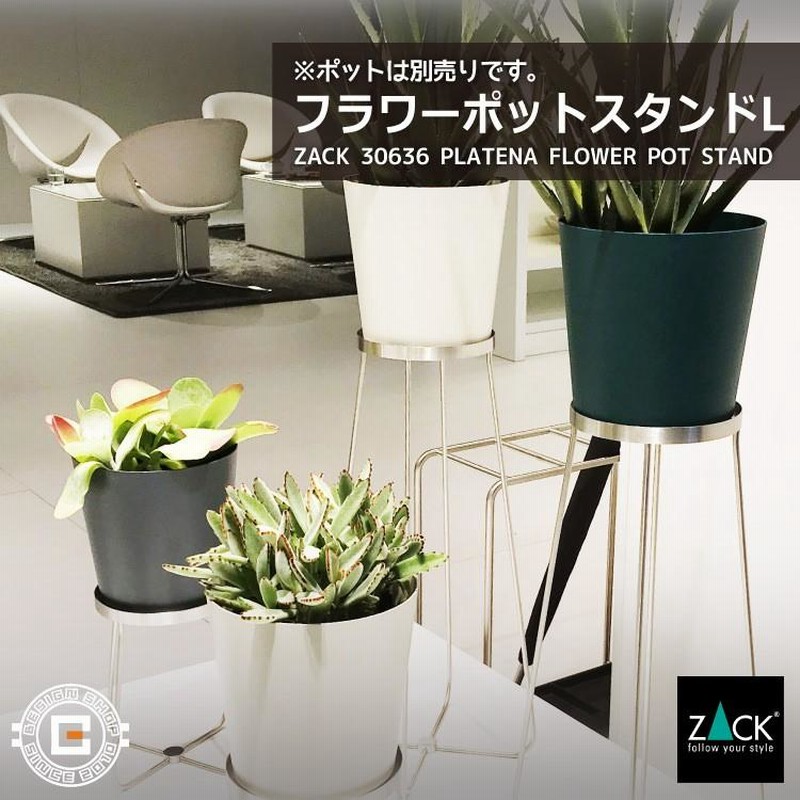 ♡多肉植物♡カット苗♡美苗♡ハオルチア アリスタータ♡ - メルカリ
