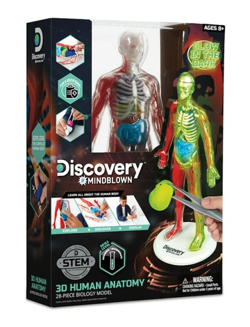 《 Discovery 》 夜光版人體探索3D拼圖（28件組） 東喬精品百貨
