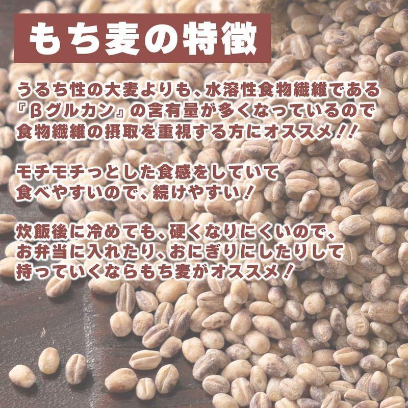 雑穀米本舗 もち麦 5kg(500g×10袋)