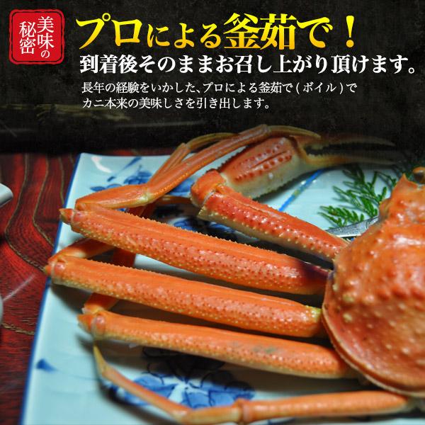 訳あり 茹で松葉ガニ 700g〜800g 2杯セット 境港から直送  クール発送 獲れたて 限定販売 カニ 蟹 かに 松葉かに まつばかに 販売