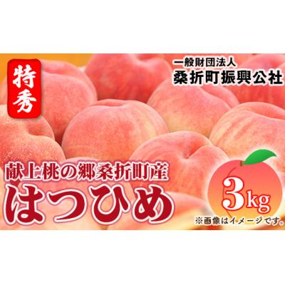 ふるさと納税 桑折町 もも(はつひめ)特秀3kg(8玉〜11玉)献上桃の郷桑折町産