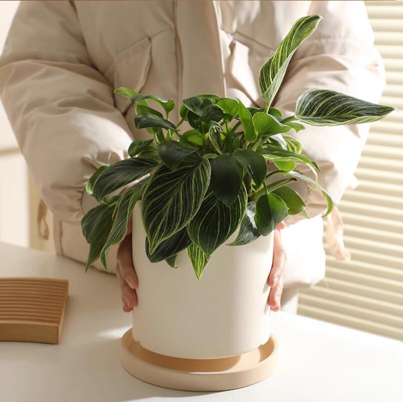 時代　中国　花台　盆栽台　珍品台　細密細工 花台 石台 盆栽台 category | ZUKOUSHITU®︎ 2.01