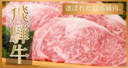 飛騨牛サーロインステーキセット 約 計400g（2枚）牛肉 ブランド牛 国産