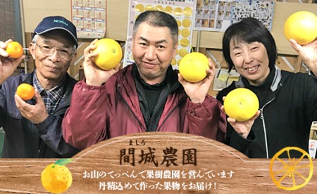 間城農園 土佐文旦10kg (家庭用)(2L～4Lサイズ) 高知産 土佐文旦 柑橘 フルーツ 文旦 ぶんたん ブンタン 果物 Bms-0019