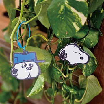 一卡通PLUS - SNOOPY 大頭造型系列