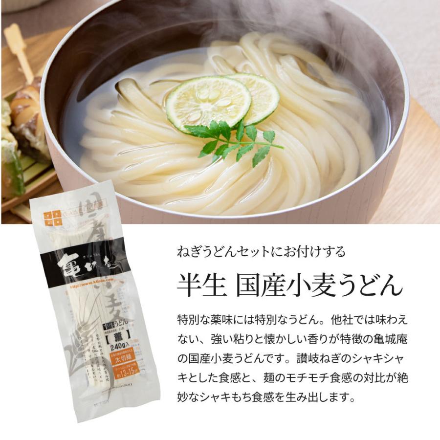 薬味付き讃岐ねぎうどんセット