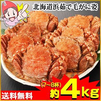 かに カニ 蟹 毛蟹 毛蟹 け蟹 ケガニ 北海道浜茹で毛がに姿 7〜8杯 (約4kg)