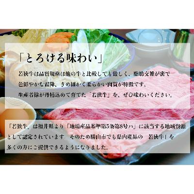 ふるさと納税 勝山市 福井県産若狭牛ステーキ(モモ肉)約200g×5枚セット