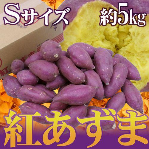 千葉・茨城県産 ”紅あずま” Sサイズ 約5kg さつまいも