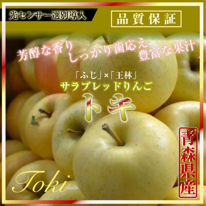 [予約 10月1日～初荷分より順次発送] トキりんご 14玉-18玉（中大玉） 5kg 箱 りんご 青森県産 中大玉 高糖度