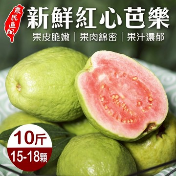 【切果季】台灣嘉義嚴選紅心芭樂(10斤±10%/箱)
