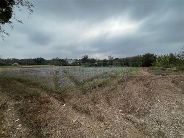 ️卓悦聯盟️楊梅梅高路二段珍稀農地｜桃園市楊梅區高上段