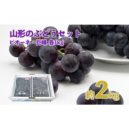 ふるさと納税 山形のぶどうセット 秀品 約2kg(ピオーネ1kg2房前後・巨峰1kg2房前後)[8月中旬〜9月中旬お届け] FU20-573 山形県山形市