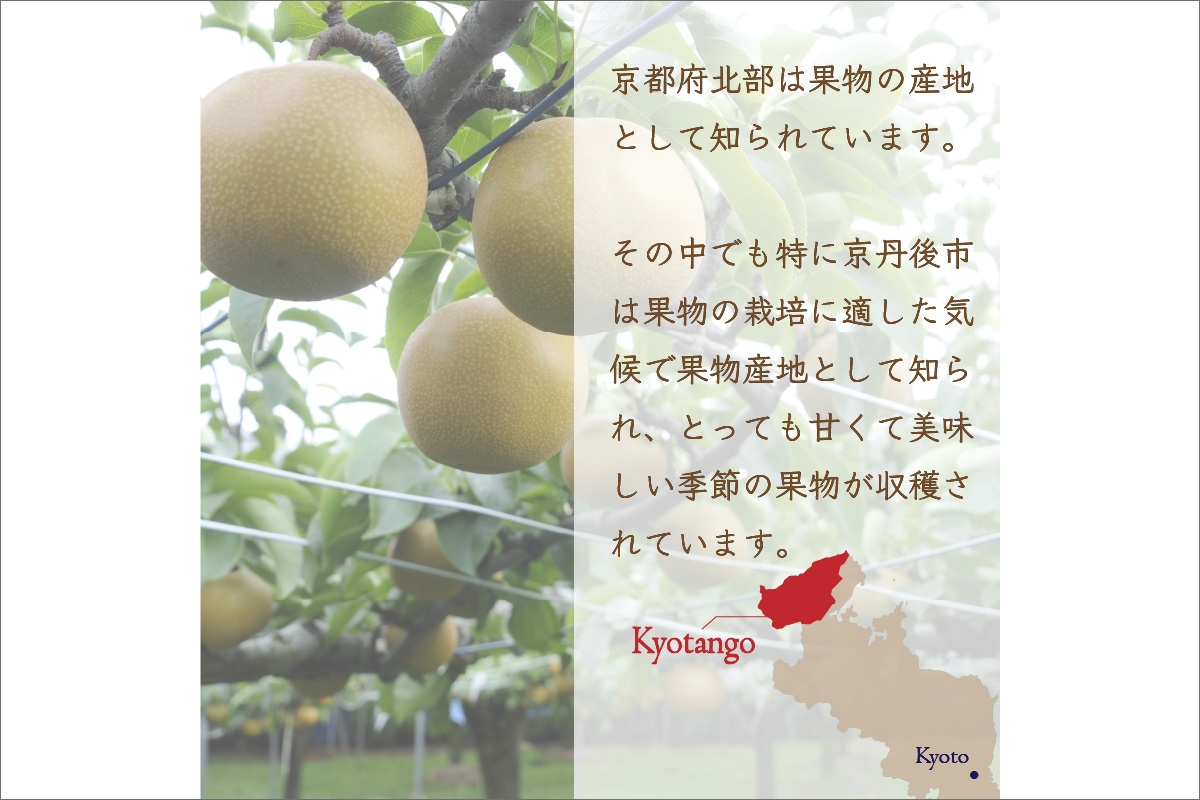 京丹後産　梨　ドライフルーツ　10袋　梨の甘味をギュッと濃縮　梨 なし ナシ 国産 健康 おやつ 京都