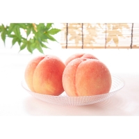 甘～ぃ！ジューシー！！京丹後産 桃2kg（6～10玉）(2024年7月中旬～発送)