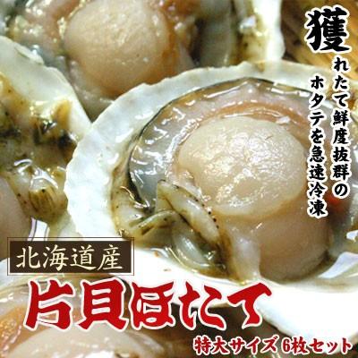 ホタテといえば北海道 片貝ホタテ 特大サイズ 6枚セット送料無料沖縄は送料別途加算 御歳暮 クリスマス 正月