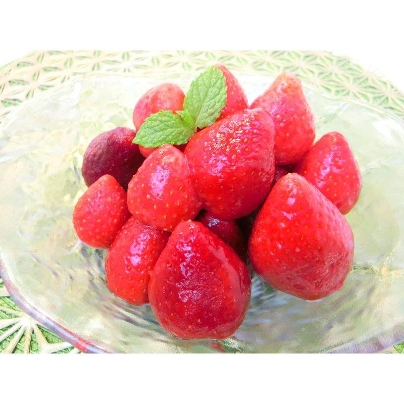 冷凍 ストロベリー 1kg （500g×2P）凍結 いちご 苺・ストロベリー２P・