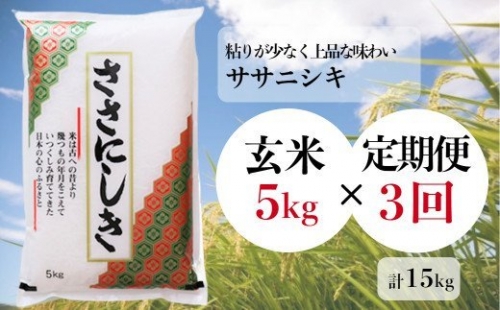 -進さんのお米「ササニシキ／玄米」5kg