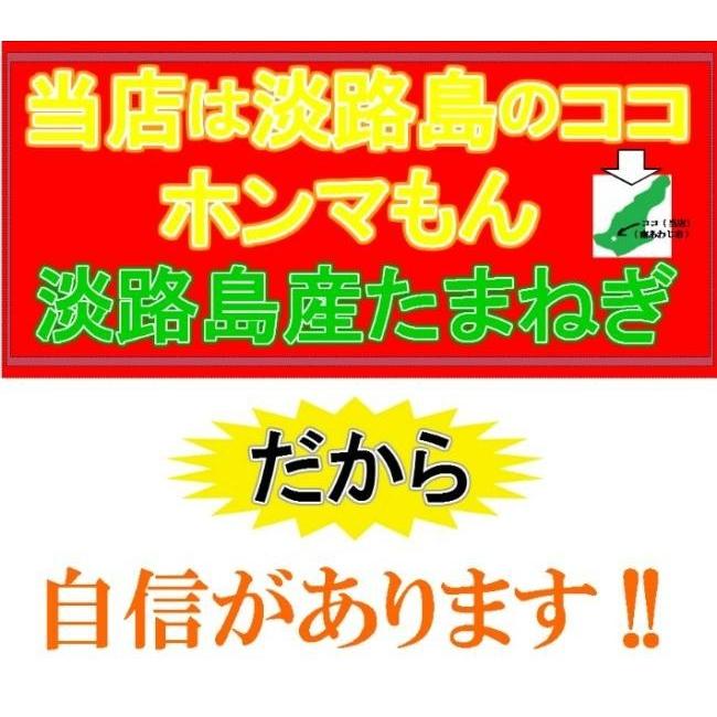 淡路島産 たまねぎ5kg 甘さに自信!!ほんまもん淡路島より発送!!