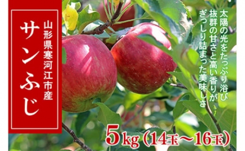 山形県産りんご「サンふじ」5kg (14玉～16玉) 大きめサイズ 贈答用 2023年産 令和5年産 山形産　018-B-CS006