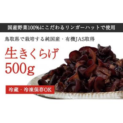 ふるさと納税 八頭町 純国産生きくらげ500g